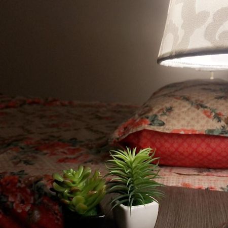 Fully Serviced Holiday Home Near Lyallpur Galleria Faisalabad Exterior photo
